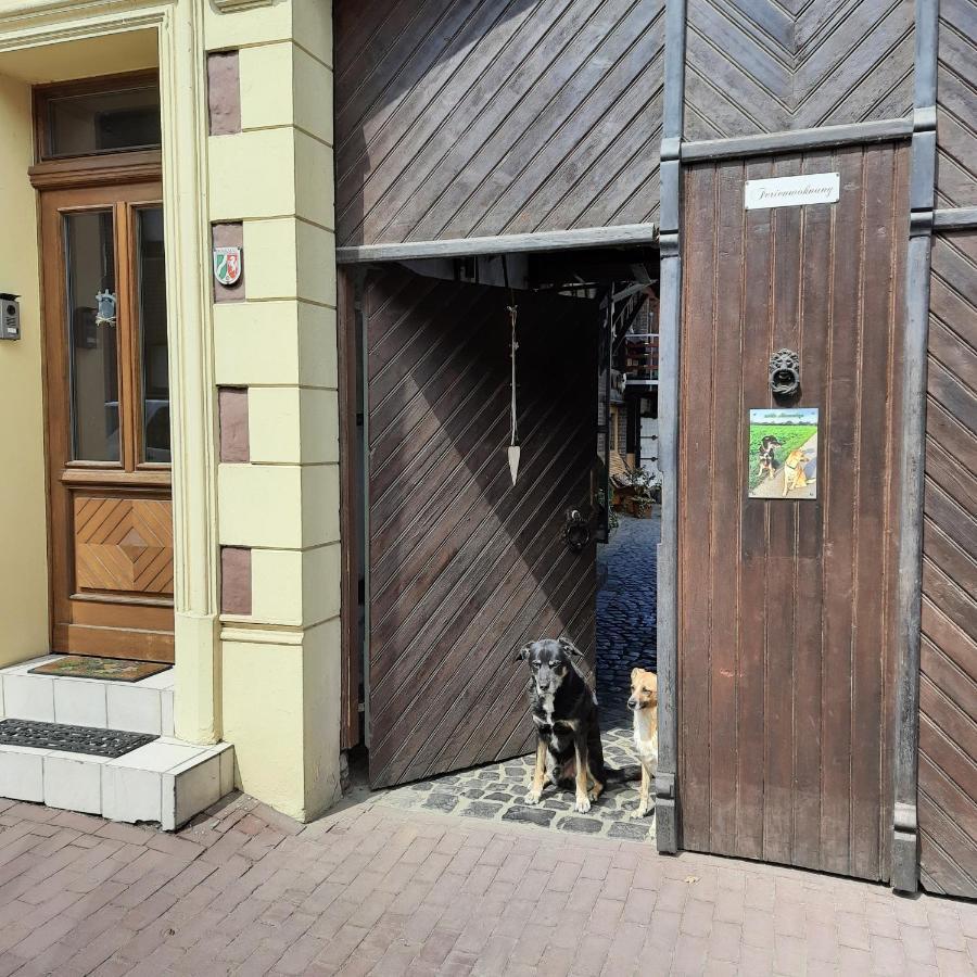Ferienwohnung Hahnenblick Waldfeucht Bagian luar foto