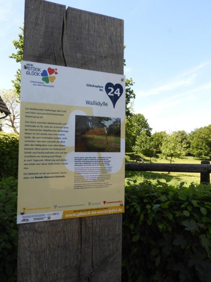 Ferienwohnung Hahnenblick Waldfeucht Bagian luar foto